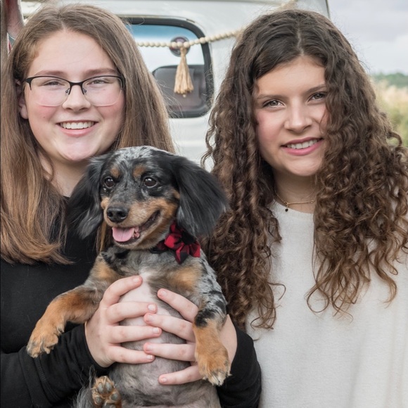 Meet your Posher, Clara - Picture 4 of 9